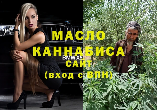 гашик Инта