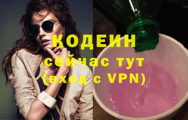гашик Инта